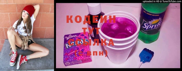 твердый Арсеньев