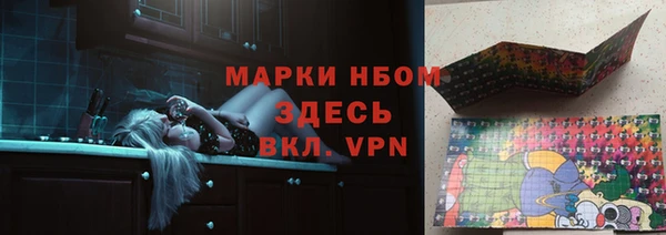 хмурый Алзамай