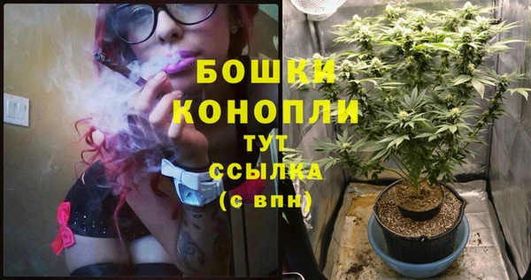твердый Арсеньев