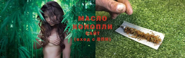 твердый Арсеньев