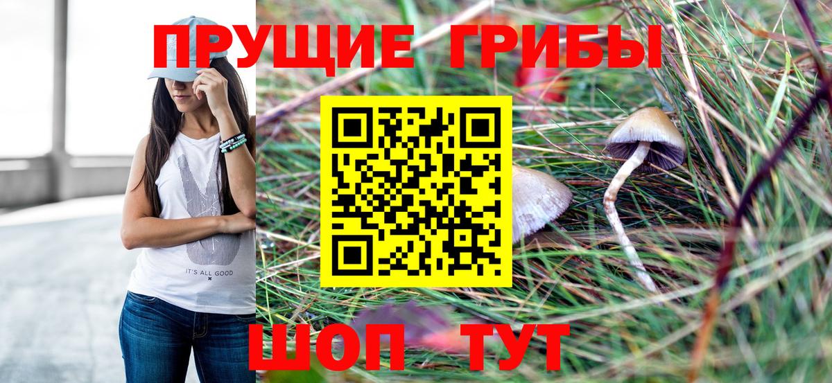 Псилоцибиновые грибы GOLDEN TEACHER  Галлюциногенные грибы MAGIC MUSHROOMS  Полысаево  Вход с VPN 