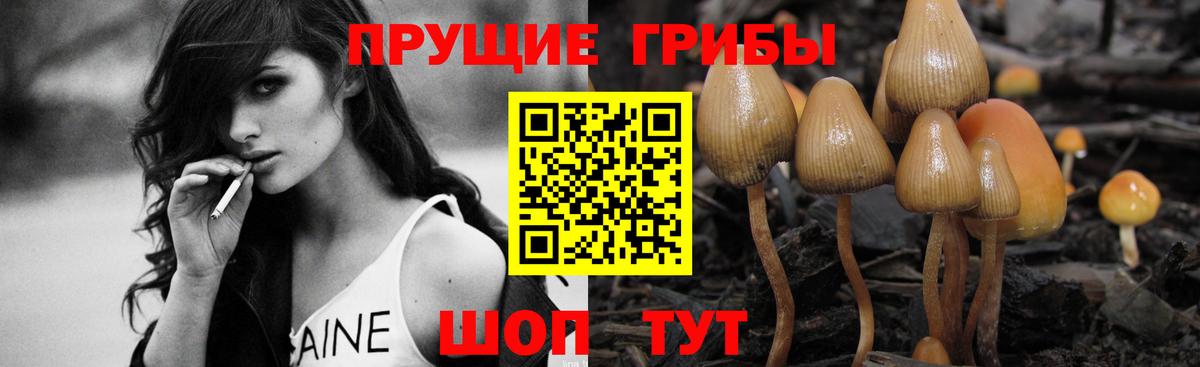 Полысаево  Галлюциногенные грибы Magic Shrooms  Вход с VPN 